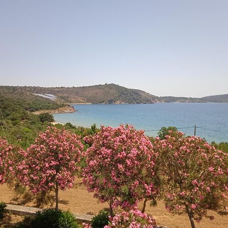 Skoutari Beach Hotel 외부 사진