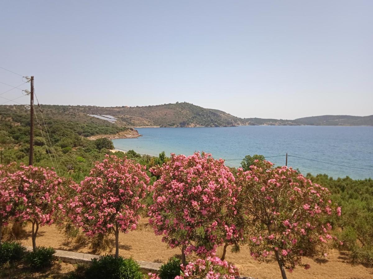 Skoutari Beach Hotel 외부 사진