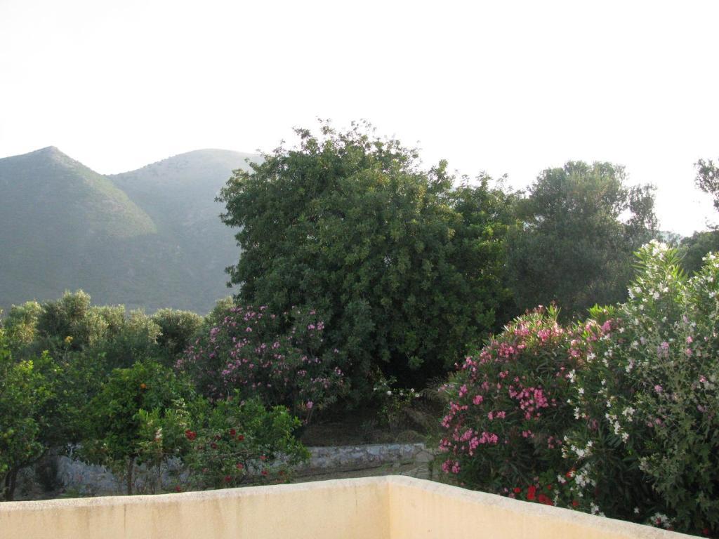 Skoutari Beach Hotel 객실 사진